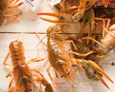 Mytilos crabs
